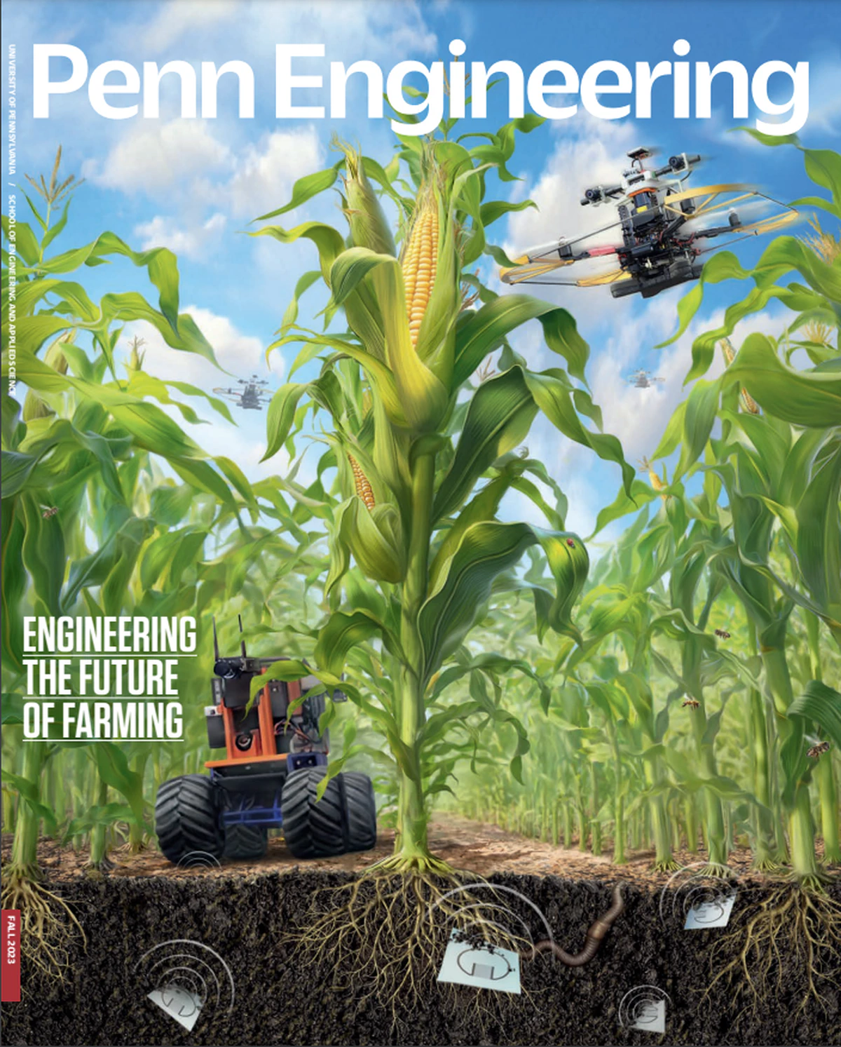 Robotic Information Gathering for Crop Health Monitoring