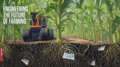 Robotic Information Gathering for Crop Health Monitoring featured image